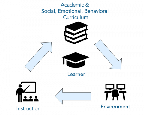 Process graphic with learner at the center showing the connection between the academic and social, emotional, behavioral curriculum, environment, and instruction